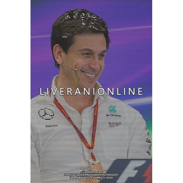 Toto Wolff (GER) Mercedes AMG F1 Shareholder and Executive Director in the FIA Press Conference. 21.10.2016. Formula 1 World Championship, Rd 18, United States Grand Prix, Austin, Texas, USA, Practice Day. / AGENZIA ALDO LIVERANI SAS - ITALY ONLY EDITORIAL USE ONLY