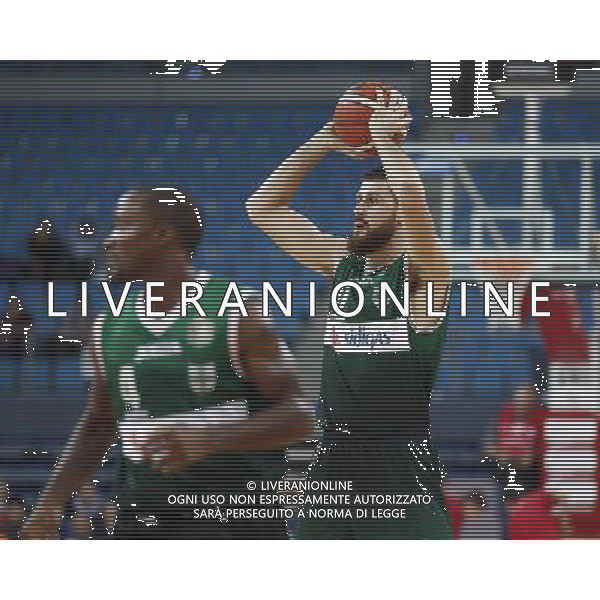 Consultinvest Pesaro vs Sidigas Avellino 23/10/2016 nella foto: ZERINI ANDREA ©CLAUDIO ZAMAGNI/AGENZIA ALDO LIVERANI S.A.S.