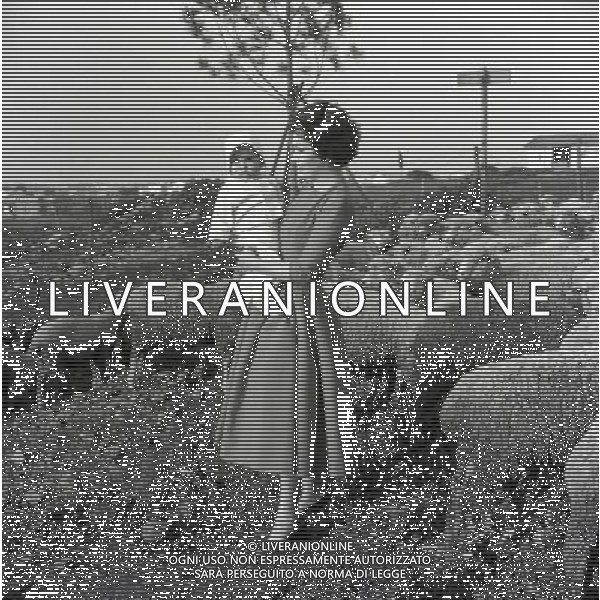 Gina Lollobrigida, nome d\'arte di Luigia Lollobrigida, attrice e scultrice italiana - Retrospettiva nella foto con il figlio Andrea Milko Skofic Jr. nel 1957 ©ARCHIVIO / AGENZIA ALDO LIVERANI SAS - ITALY ONLY EDITORIAL USE ONLY