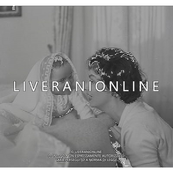 Gina Lollobrigida, nome d\'arte di Luigia Lollobrigida, attrice e scultrice italiana - Retrospettiva nella foto con il figlio Andrea Milko Skofic Jr.nel 1957 ©ARCHIVIO / AGENZIA ALDO LIVERANI SAS - ITALY ONLY EDITORIAL USE ONLY