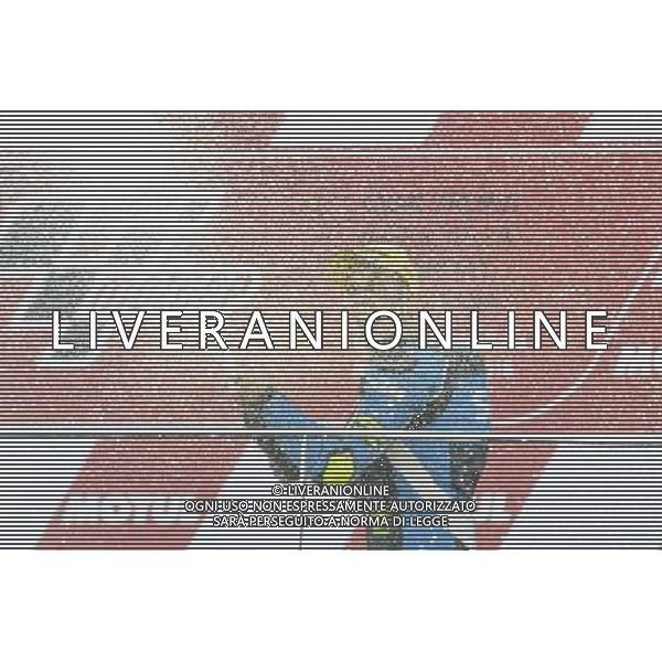 13.11.2016. Circuito Ricardo Tormo, Valencia, Spagna Andrea Migno. FOTO G.PIAZZOLLA-AG ALDO LIVERANI SAS