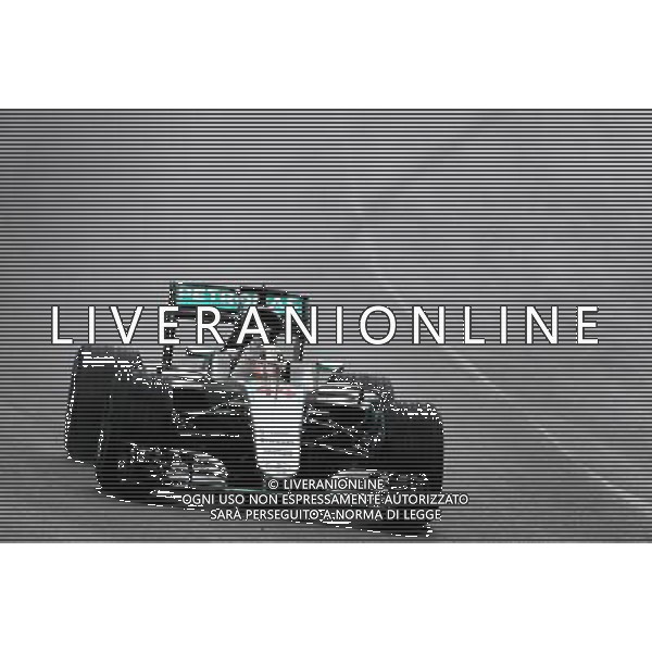 Lewis Hamilton (GBR) Mercedes AMG F1 13.11.2016. Formula 1 World Championship, Rd 20, Brazilian Grand Prix, Sao Paulo, Brazil, Race Day. AG ALDO LIVERANI SAS ONLY ITALY