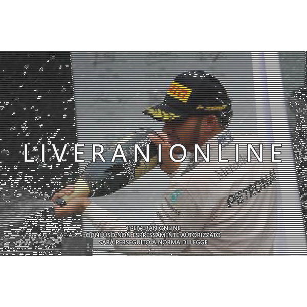 Lewis Hamilton (GBR) Mercedes AMG F1 13.11.2016. Formula 1 World Championship, Rd 20, Brazilian Grand Prix, Sao Paulo, Brazil, Race Day. AG ALDO LIVERANI SAS ONLY ITALY