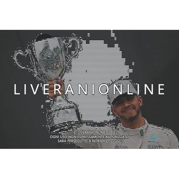 Race winner Lewis Hamilton (GBR) Mercedes AMG F1 celebrates on the podium. 13.11.2016. Formula 1 World Championship, Rd 20, Brazilian Grand Prix, Sao Paulo, Brazil, Race Day. / AGENZIA ALDO LIVERANI SAS - ITALY ONLY EDITORIAL USE ONLY - Gp F1 Brasile Gara