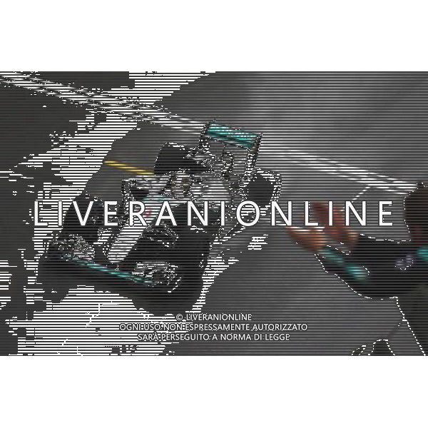 Race winner Lewis Hamilton (GBR) Mercedes AMG F1 W07 Hybrid celebrates as he takes the chequered flag at the end of the race. 13.11.2016. Formula 1 World Championship, Rd 20, Brazilian Grand Prix, Sao Paulo, Brazil, Race Day. / AGENZIA ALDO LIVERANI SAS - ITALY ONLY EDITORIAL USE ONLY - Gp F1 Brasile Gara
