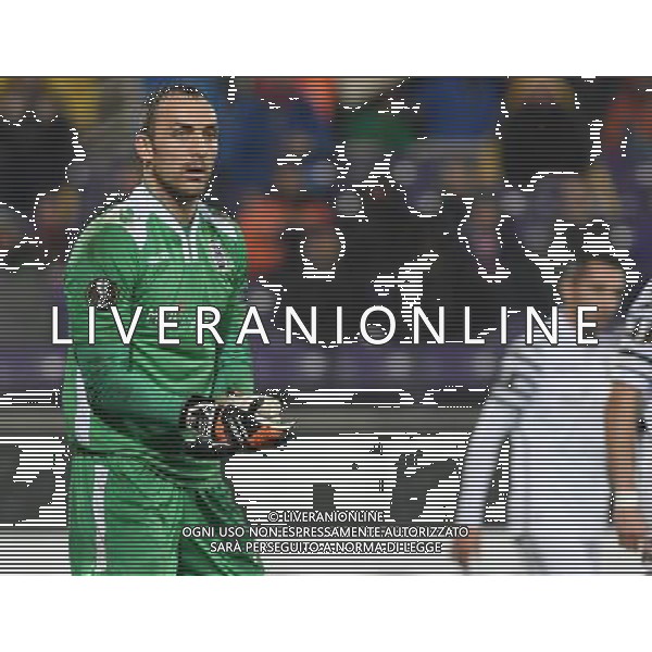 UEFA Europa League 2016/2017 Fase a Gironi Gruppo J Firenze - 24.11.2016 Fiorentina-Paok Nella Foto:brkic /Ph.Vitez-Ag. Aldo Liverani