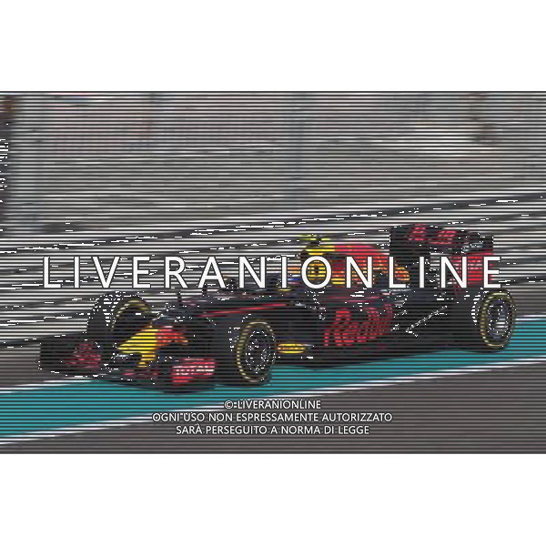Max Verstappen (NLD) Red Bull Racing RB12. 25.11.2016. Formula 1 World Championship, Rd 21, Abu Dhabi Grand Prix, Yas Marina Circuit, Abu Dhabi, Practice Day. AG ALDO LIVERANI SAS ONLY ITALY
