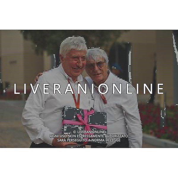 (L to R): Herbie Blash (GBR) FIA Delegate with Bernie Ecclestone (GBR). 25.11.2016. Formula 1 World Championship, Rd 21, Abu Dhabi Grand Prix, Yas Marina Circuit, Abu Dhabi, Practice Day. AG ALDO LIVERANI SAS ONLY ITALY