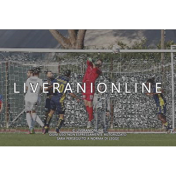 SANTARCANGELO vs MODENA Campionato Lega Pro 15» giornata Girone B 26/11/2016 nella foto: MANFREDINI NICOLO\' ©CLAUDIO ZAMAGNI/AGENZIA ALDO LIVERANI S.A.S.