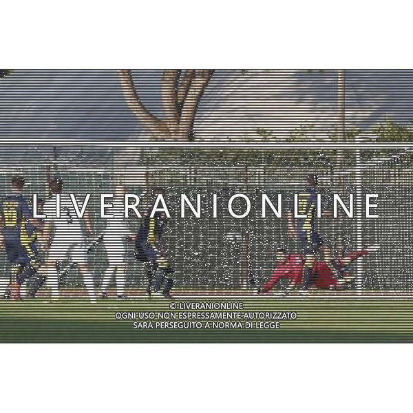 SANTARCANGELO vs MODENA Campionato Lega Pro 15» giornata Girone B 26/11/2016 nella foto: MANFREDI NI NICOLO\' ©CLAUDIO ZAMAGNI/AGENZIA ALDO LIVERANI S.A.S.