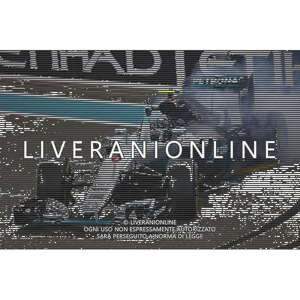 2nd place and new world champion Nico Rosberg (GER) Mercedes AMG Petronas F1 W07. 27.11.2016. Formula 1 World Championship, Rd 21, Abu Dhabi Grand Prix, Yas Marina Circuit, Abu Dhabi, Race Day. AG ALDO LIVERANI SAS ONLY ITALY