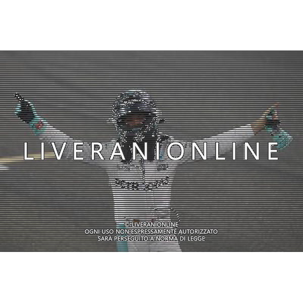 2nd place and new world champion Nico Rosberg (GER) Mercedes AMG Petronas F1 W07. 27.11.2016. Formula 1 World Championship, Rd 21, Abu Dhabi Grand Prix, Yas Marina Circuit, Abu Dhabi, Race Day. AG ALDO LIVERANI SAS ONLY ITALY