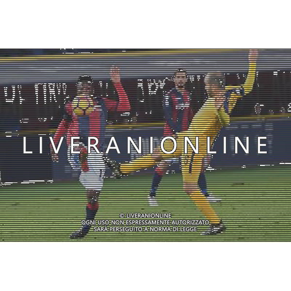 BOLOGNA - VERONA QUARTO TURNO COPPA ITALIA TIM CUP 01 DICEMBRE 2016 NELLA FOTO Godfred Donsah ©OPTIMAFOTO / AGENZIA ALDO LIVERANI SAS 
