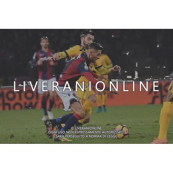 BOLOGNA - VERONA QUARTO TURNO COPPA ITALIA TIM CUP 01 DICEMBRE 2016 NELLA FOTO Anthony Mounier ©OPTIMAFOTO / AGENZIA ALDO LIVERANI SAS 