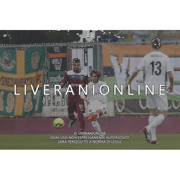 ALMA JUVENTUS FANO vs VENEZIA Campionato Lega Pro 16Âª giornata Girone B 04/12/2016 nella foto: FABRIS E GABBIANELLI Â©CLAUDIO ZAMAGNI/AGENZIA ALDO LIVERANI S.A.S.