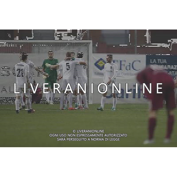 ALMA JUVENTUS FANO vs VENEZIA Campionato Lega Pro 16Âª giornata Girone B 04/12/2016 nella foto: ESULTANZA VENEZIA Â©CLAUDIO ZAMAGNI/AGENZIA ALDO LIVERANI S.A.S.