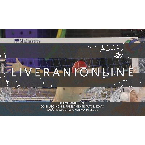 Voltolini,singoli Brescia WaterPolo A2 ,Brescia 3 dicembre 2016. AG ALDO LIVERANI SAS