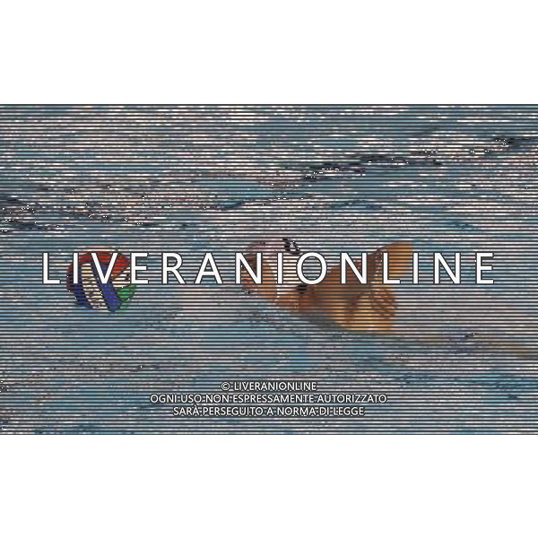 Di Rocco,singoli Brescia WaterPolo A2 ,Brescia 3 dicembre 20 AG ALDO LIVERANI SAS