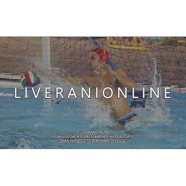 Voltolini,singoli Brescia WaterPolo A2 ,Brescia 3 dicembre 2016. AG ALDO LIVERANI SAS