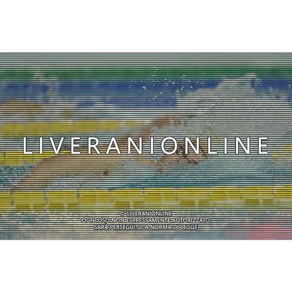 Campionato Italiano Invernale Open di Nuoto Riccione (RN) - 16.12.2016 Nella Foto:Gregorio Paltrinieri /Ph.Vitez-Ag. Aldo Liverani