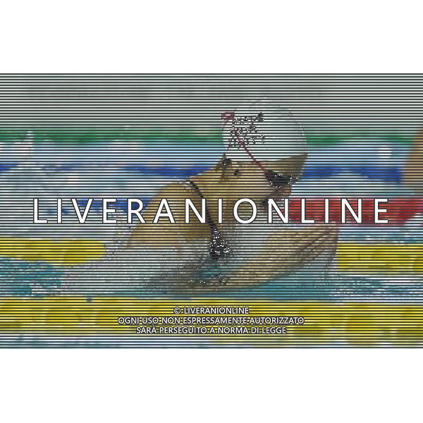 Campionato Italiano Invernale Open di Nuoto Riccione (RN) - 16.12.2016 Nella Foto:Carraro Martina /Ph.Vitez-Ag. Aldo Liverani