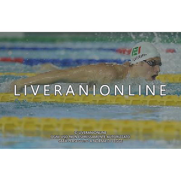 Campionato Italiano Invernale Open di Nuoto Riccione (RN) - 16.12.2016 Nella Foto:Turrini Federico /Ph.Vitez-Ag. Aldo Liverani