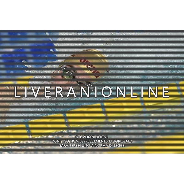 Campionato Italiano Invernale Open di Nuoto Riccione (RN) - 16.12.2016 Nella Foto:Paltrinieri Gregorio /Ph.Vitez-Ag. Aldo Liverani