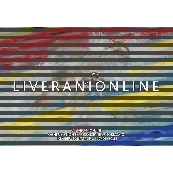 Campionato Italiano Invernale Open di Nuoto Riccione (RN) - 16.12.2016 Nella Foto:Detti Gabriele /Ph.Vitez-Ag. Aldo Liverani