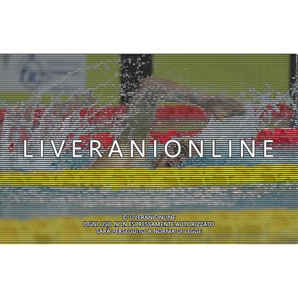 Campionato Italiano Invernale Open di Nuoto Riccione (RN) - 16.12.2016 Nella Foto:Paltrinieri Gregorio /Ph.Vitez-Ag. Aldo Liverani