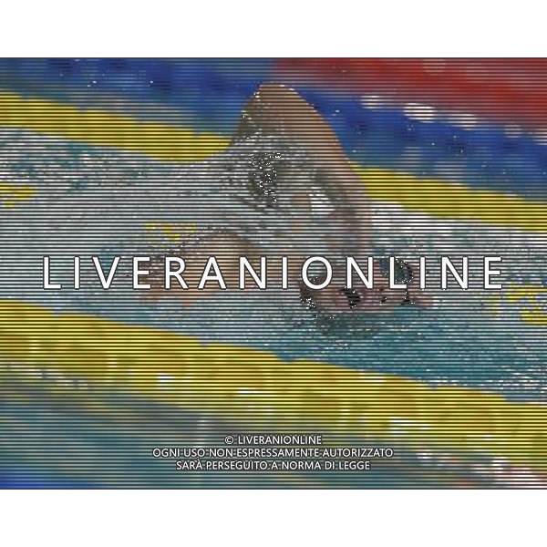 Campionato Italiano Invernale Open di Nuoto Riccione (RN) - 16.12.2016 Nella Foto:Detti Gabriele /Ph.Vitez-Ag. Aldo Liverani