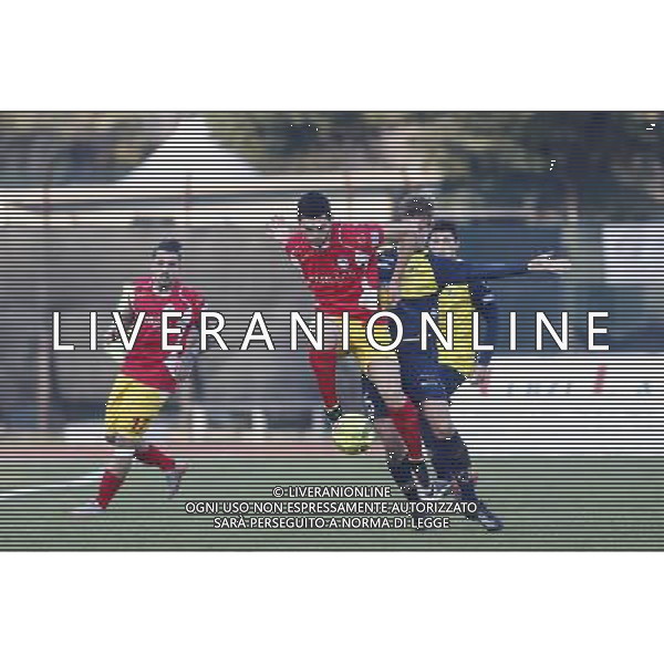 SANTARCANGELO vs ALBINOLEFFE Campionato Lega Pro 19Âª giornata Girone B 18/12/2016 nella foto: UNA FASE DI GIOCO Â©CLAUDIO ZAMAGNI/AGENZIA ALDO LIVERANI S.A.S./ AGENZIA ALDO LIVERANI SAS