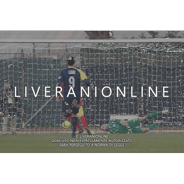 SANTARCANGELO vs ALBINOLEFFE Campionato Lega Pro 19» giornata Girone B 18/12/2016 nella foto: IL GOAL DEL SANTARCANGELO ©CLAUDIO ZAMAGNI/AGENZIA ALDO LIVERANI S.A.S.
