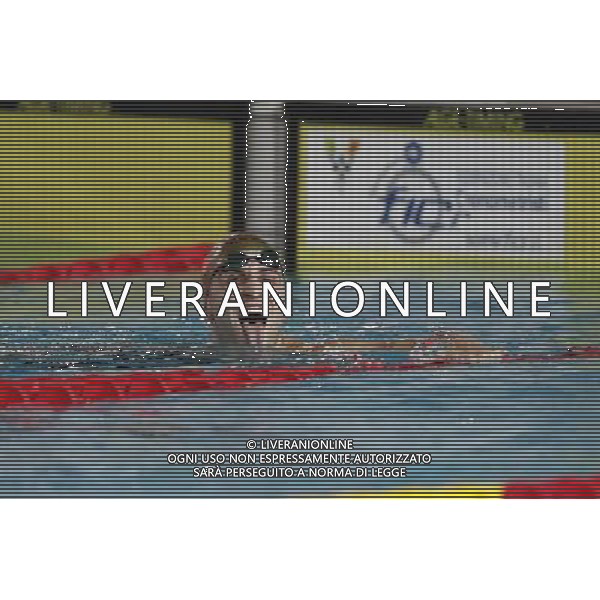 Nuoto Campionato Italiano Open Invernale 17/12/2016 nella foto: CICCARESE CHRISTOPPHER Â©Claudio Zamagni/Agenzia Aldo Liverani s.a.s.