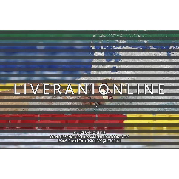 Nuoto Campionato Italiano Open Invernale 17/12/2016 nella foto: PALTRINIERI GREGORIO Â©Claudio Zamagni/Agenzia Aldo Liverani s.a.s.