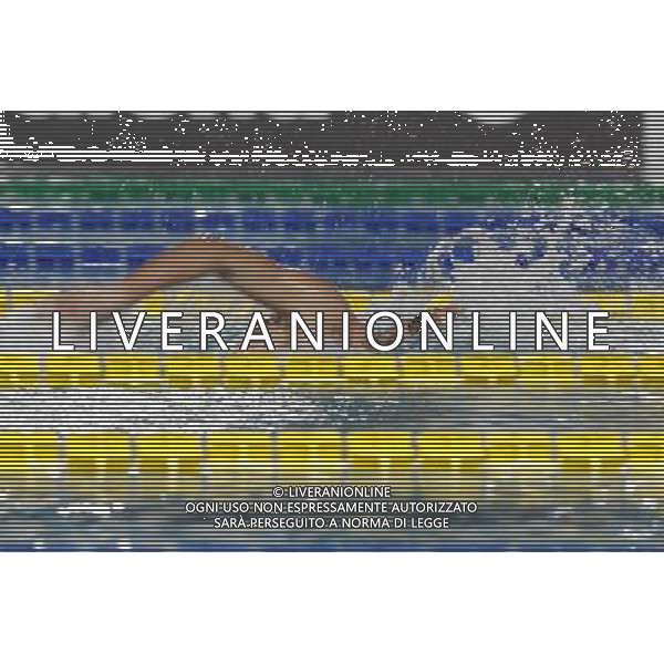 Nuoto Campionato Italiano Open Invernale 17/12/2016 nella foto: PALTRINIERI GREGORIO Â©Claudio Zamagni/Agenzia Aldo Liverani s.a.s.