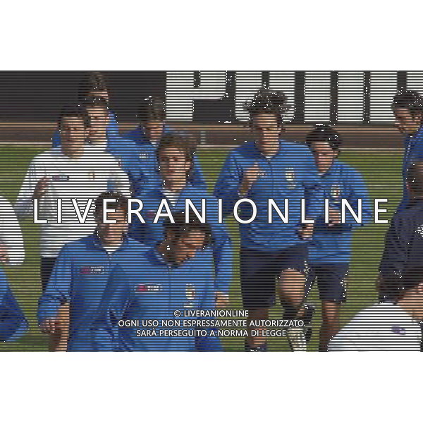 COVERCIANO 23/03/05 ALLENAMENTO DELLA NAZIONALE ITALIANA NELLA FOTO LUCA TONI E ALBERTO GILARDINO PH GIANNI NUCCI/AGENZIA ALDO LIVERANI