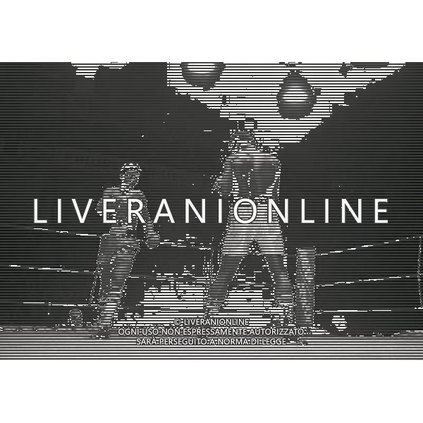 1981 MILANO NELLA FOTO IL PUGILE NINO LA ROCCA AG ALDO LIVERANI SAS