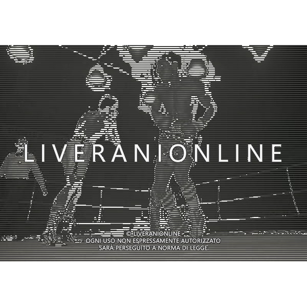 1981 MILANO NELLA FOTO IL PUGILE NINO LA ROCCA AG ALDO LIVERANI SAS