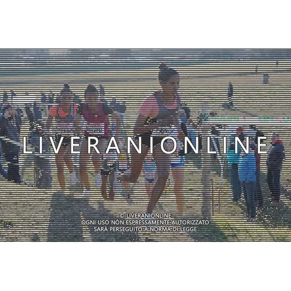 San Vittore Olona - 22.01.2017 85Â° Cinque Mulini cross country nella foto un passaggio della gara femminile foto Roberto Garavaglia - Studio Sally / AGENZIA ALDO LIVERANI SAS