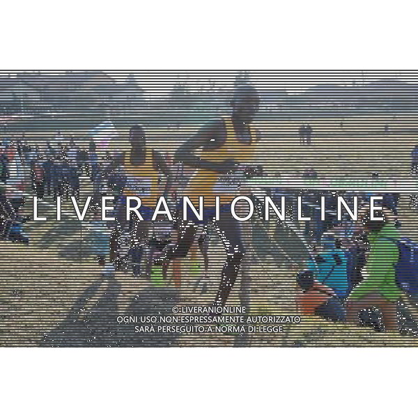 San Vittore Olona - 22.01.2017 85Â° Cinque Mulini cross country nella foto un passaggio della gara maschile foto Roberto Garavaglia - Studio Sally / AGENZIA ALDO LIVERANI SAS