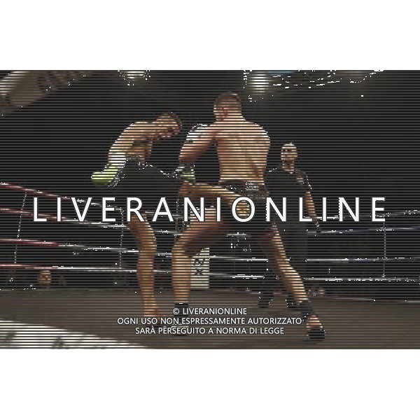 RIMINI - King of the Ring 28/01/2017 nella foto: VICTOR HOZNAS VS HAMED WEST ©Claudio Zamagni/Ag. Aldo Liverani s.a.s