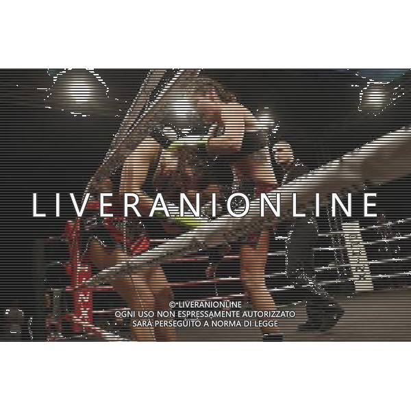 RIMINI - King of the Ring 28/01/2017 nella foto: STELLA BARTOLETTI VS ROBERTA SARCINELLA ©Claudio Zamagni/Ag. Aldo Liverani s.a.s