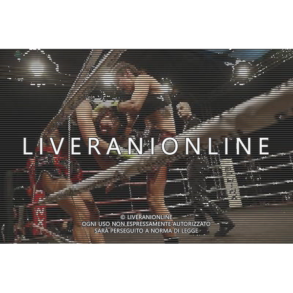 RIMINI - King of the Ring 28/01/2017 nella foto: STELLA BARTOLETTI VS ROBERTA SARCINELLA ©Claudio Zamagni/Ag. Aldo Liverani s.a.s