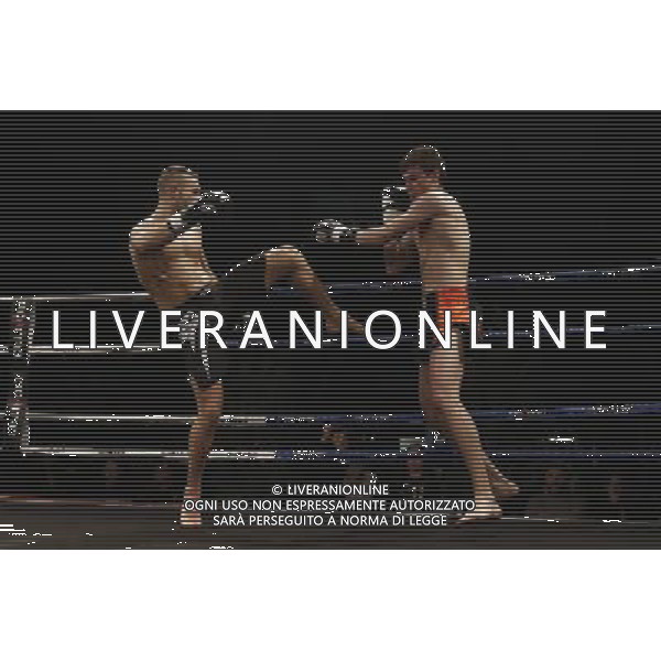 RIMINI - King of the Ring 28/01/2017 nella foto: GIANLUCA ROCCA VS ANDREA GOZZI ©Claudio Zamagni/Ag. Aldo Liverani s.a.s