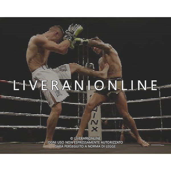 RIMINI - King of the Ring 28/01/2017 nella foto: NICU ALEXANDRU VS SERGIO VINTOVICH ©Claudio Zamagni/Ag. Aldo Liverani s.a.s