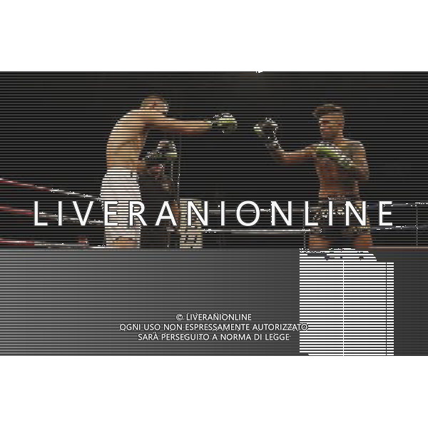 RIMINI - King of the Ring 28/01/2017 nella foto: NICU ALEXANDRU VS SERGIO VINTOVICH ©Claudio Zamagni/Ag. Aldo Liverani s.a.s