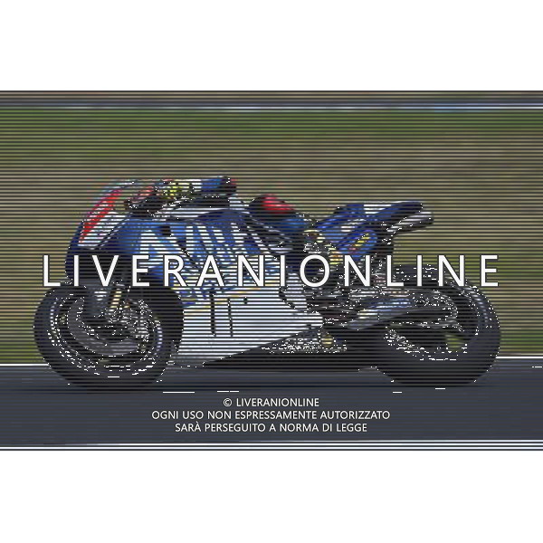 Phillip Island Australia 16.02.2017 MotoGP 2017 pre season test at the Phillip Island Circuit, Hector Barbera (Avintia Ducati) photoPSP / Newspix.pl --- Newspix.pl / AGENZIA ALDO LIVERANI SAS - ITALY ONLY EDITORIAL USE ONLY