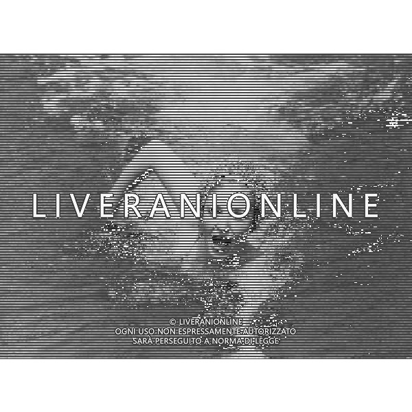 nella foto Vitti Monica ph archivio giovanni liverani/ag aldo liverani s.a.s.