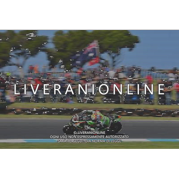 Phillip Island Australia 16.02.2017 First round World Superbike Championship WSBK at the Phillip Island Circuit, Alex de Angelis photoPSP / Newspix.pl --- Newspix.pl *** Local Caption *** www.newspix.pl mail us: info@newspix.pl call us: 0048 022 23 22 222 --- Polish Picture Agency by Ringier Axel Springer Poland / AGENZIA ALDO LIVERANI SAS - ITALY ONLY EDITORIAL USE ONLY