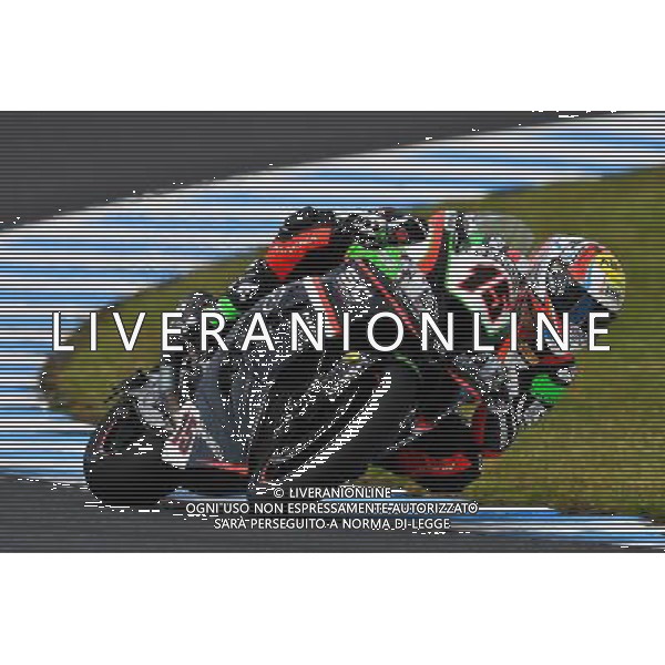 Phillip Island Australia 16.02.2017 First round World Superbike Championship WSBK at the Phillip Island Circuit, Alex de Angelis photoPSP / Newspix.pl --- Newspix.pl *** Local Caption *** www.newspix.pl mail us: info@newspix.pl call us: 0048 022 23 22 222 --- Polish Picture Agency by Ringier Axel Springer Poland / AGENZIA ALDO LIVERANI SAS - ITALY ONLY EDITORIAL USE ONLY